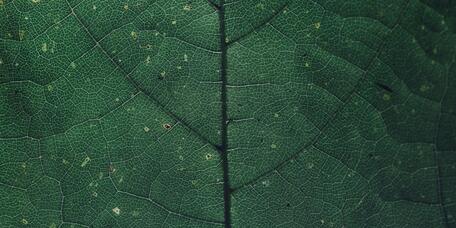 Erbenermittlung für unsere Kunden